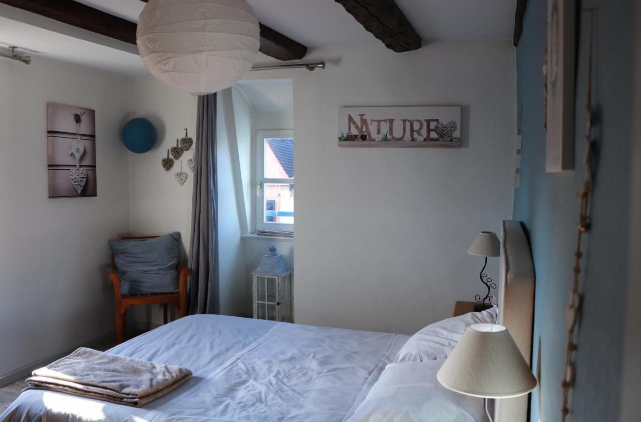 Sous Les Toits Du Zinc - Climatise Apartment Colmar Bagian luar foto