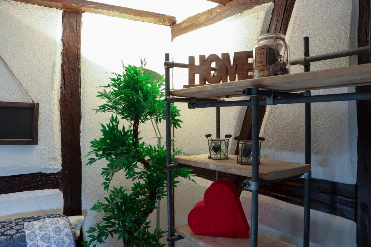 Sous Les Toits Du Zinc - Climatise Apartment Colmar Bagian luar foto